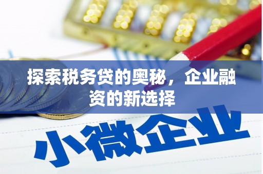 滁州探索税务贷的奥秘，企业融资的新选择