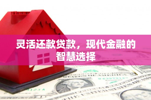 滁州灵活还款贷款，现代金融的智慧选择