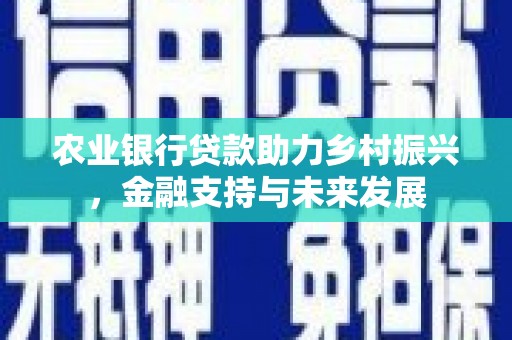 滁州农业银行贷款助力乡村振兴，金融支持与未来发展