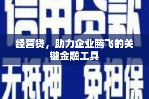 滁州经营贷，助力企业腾飞的关键金融工具