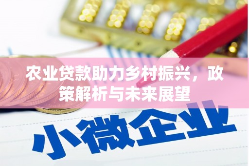 滁州农业贷款助力乡村振兴，政策解析与未来展望