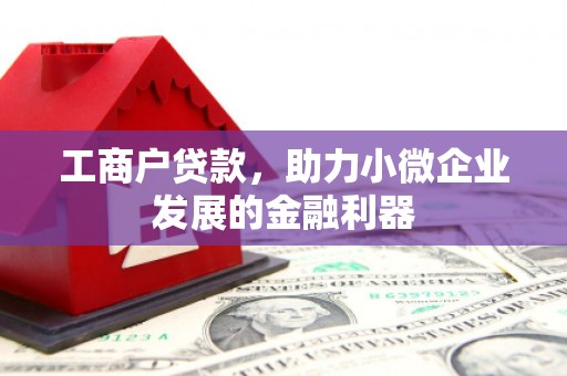 滁州工商户贷款，助力小微企业发展的金融利器