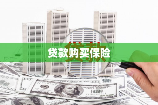 滁州贷款购买保险