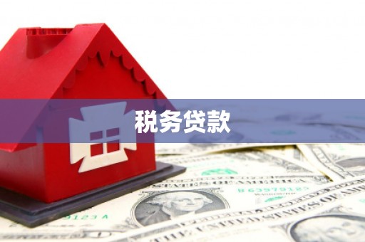 滁州税务贷款