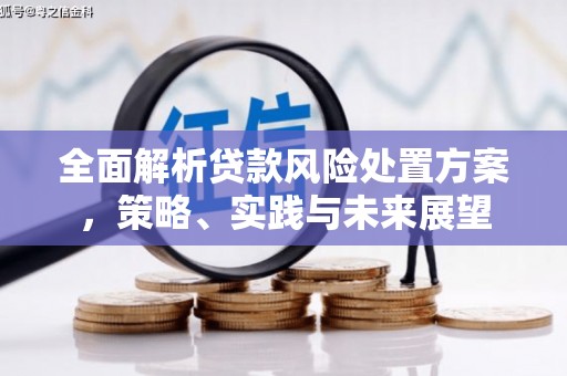滁州全面解析贷款风险处置方案，策略、实践与未来展望