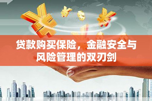 滁州贷款购买保险，金融安全与风险管理的双刃剑