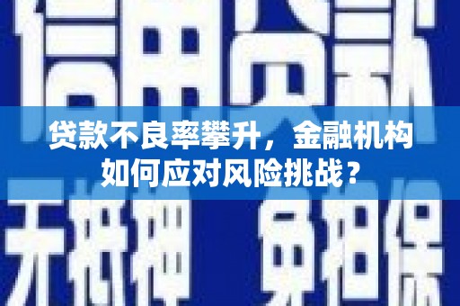 滁州贷款不良率攀升，金融机构如何应对风险挑战？