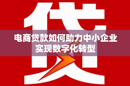 滁州电商贷款如何助力中小企业实现数字化转型