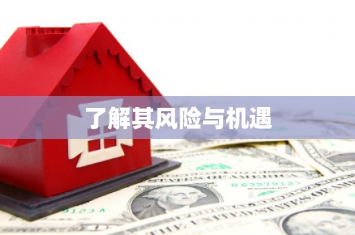 滁州了解其风险与机遇