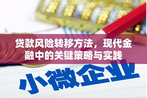 滁州贷款风险转移方法，现代金融中的关键策略与实践