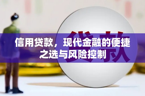 滁州信用贷款，现代金融的便捷之选与风险控制