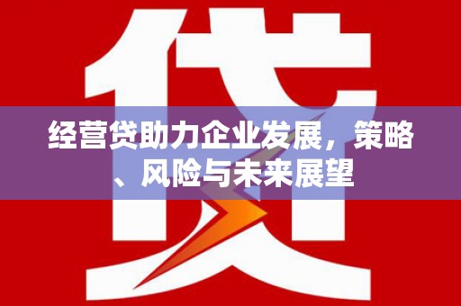 滁州经营贷助力企业发展，策略、风险与未来展望
