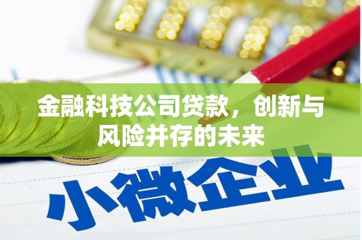 滁州金融科技公司贷款，创新与风险并存的未来