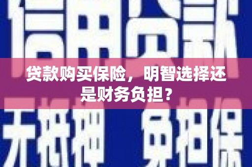 滁州贷款购买保险，明智选择还是财务负担？