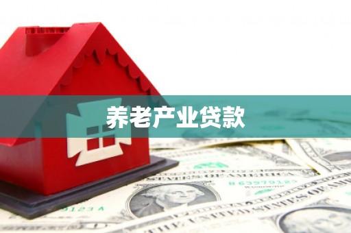 滁州养老产业贷款