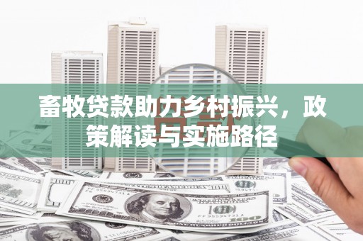 滁州畜牧贷款助力乡村振兴，政策解读与实施路径