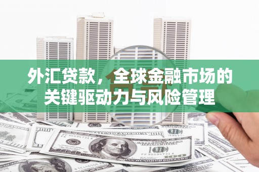 滁州外汇贷款，全球金融市场的关键驱动力与风险管理