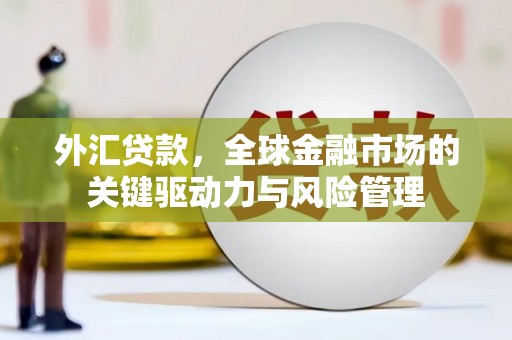 滁州外汇贷款，全球金融市场的关键驱动力与风险管理