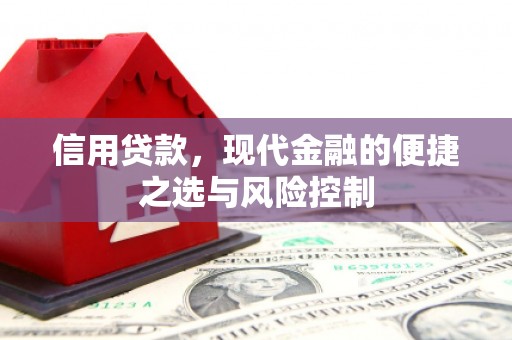 滁州信用贷款，现代金融的便捷之选与风险控制