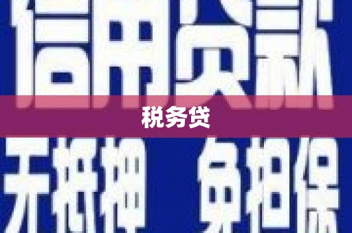 滁州税务贷