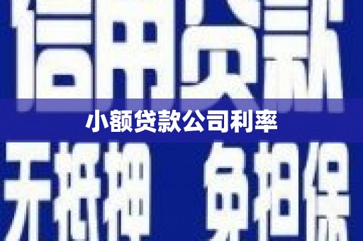 滁州小额贷款公司利率