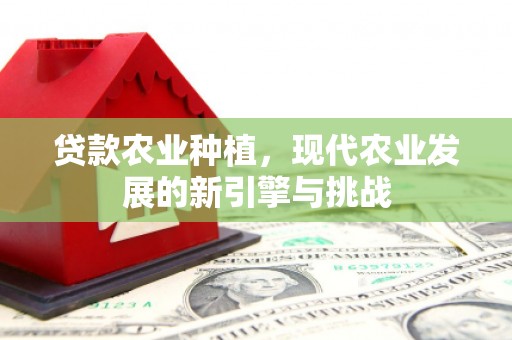 滁州贷款农业种植，现代农业发展的新引擎与挑战