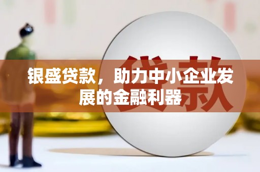 滁州银盛贷款，助力中小企业发展的金融利器
