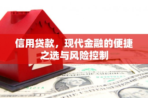 滁州信用贷款，现代金融的便捷之选与风险控制