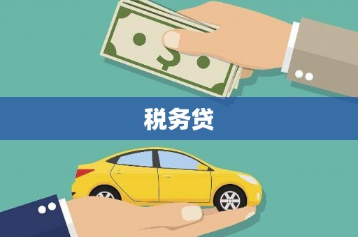 滁州税务贷