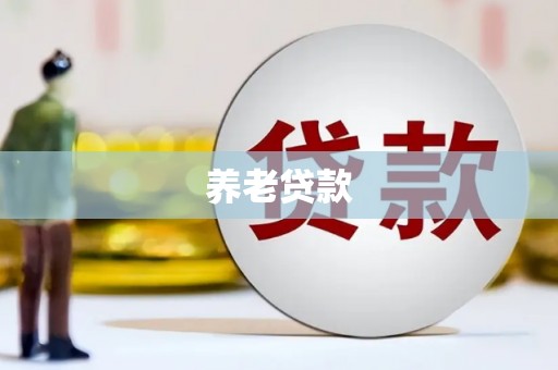 滁州养老贷款
