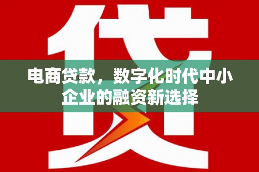 滁州电商贷款，数字化时代中小企业的融资新选择