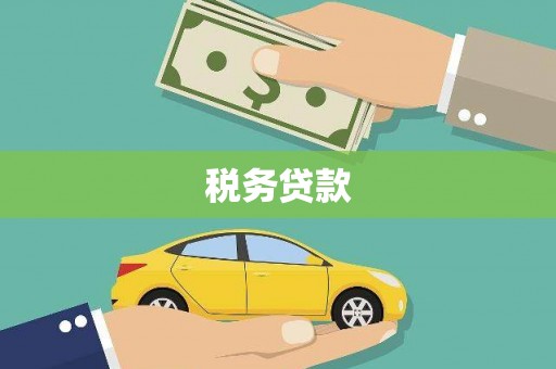 滁州税务贷款