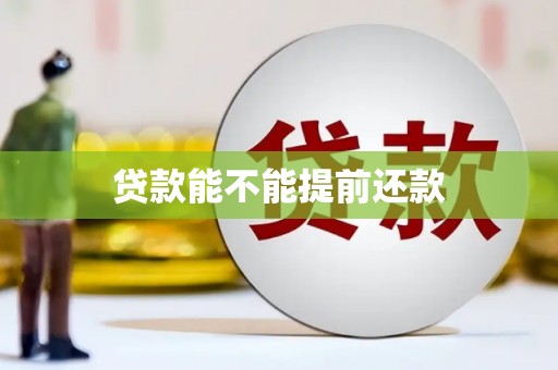 滁州贷款能不能提前还款