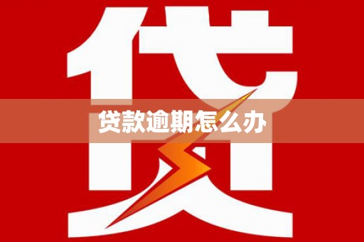 滁州贷款逾期怎么办