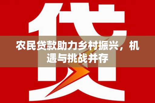 滁州农民贷款助力乡村振兴，机遇与挑战并存