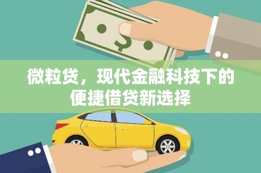 滁州微粒贷，现代金融科技下的便捷借贷新选择