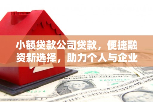滁州小额贷款公司贷款，便捷融资新选择，助力个人与企业成长