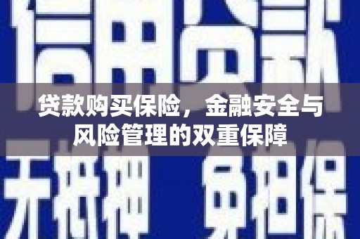 滁州贷款购买保险，金融安全与风险管理的双重保障