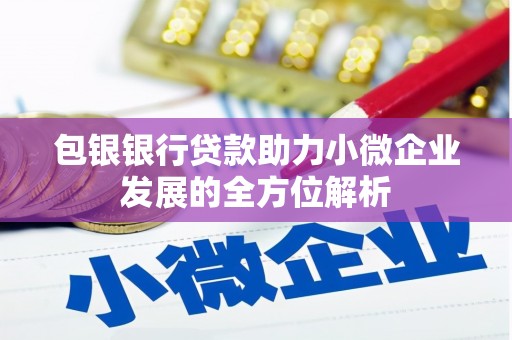 滁州包银银行贷款助力小微企业发展的全方位解析