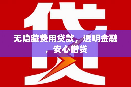 滁州无隐藏费用贷款，透明金融，安心借贷