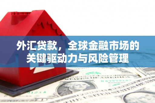 滁州外汇贷款，全球金融市场的关键驱动力与风险管理