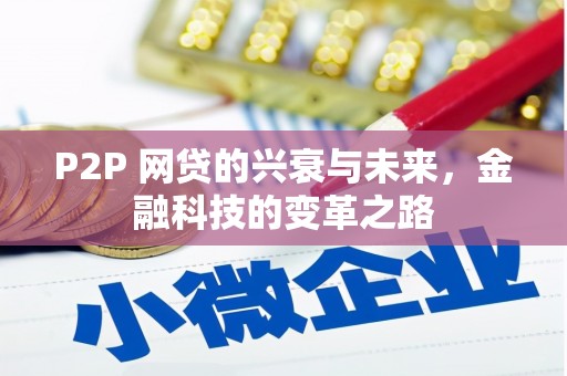 滁州P2P 网贷的兴衰与未来，金融科技的变革之路
