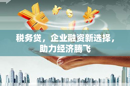 滁州税务贷，企业融资新选择，助力经济腾飞