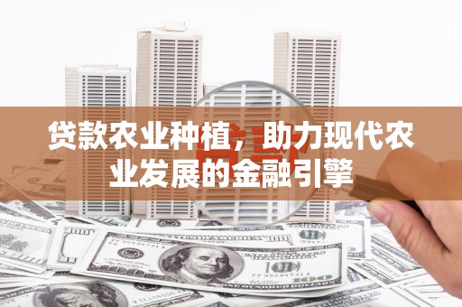 滁州贷款农业种植，助力现代农业发展的金融引擎