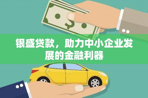 滁州银盛贷款，助力中小企业发展的金融利器