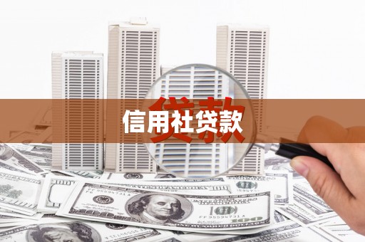 滁州信用社贷款