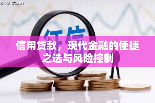 滁州信用贷款，现代金融的便捷之选与风险控制