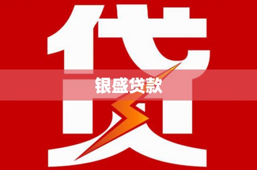 滁州银盛贷款