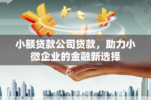 滁州小额贷款公司贷款，助力小微企业的金融新选择