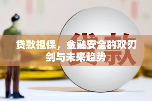 滁州贷款担保，金融安全的双刃剑与未来趋势